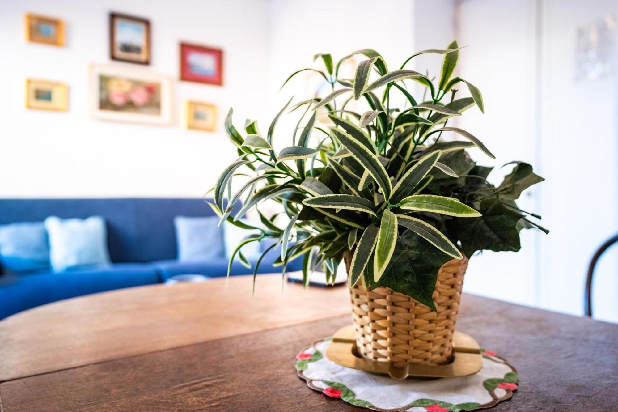 Stefania Flat - Amalfi Center Apartment Ngoại thất bức ảnh